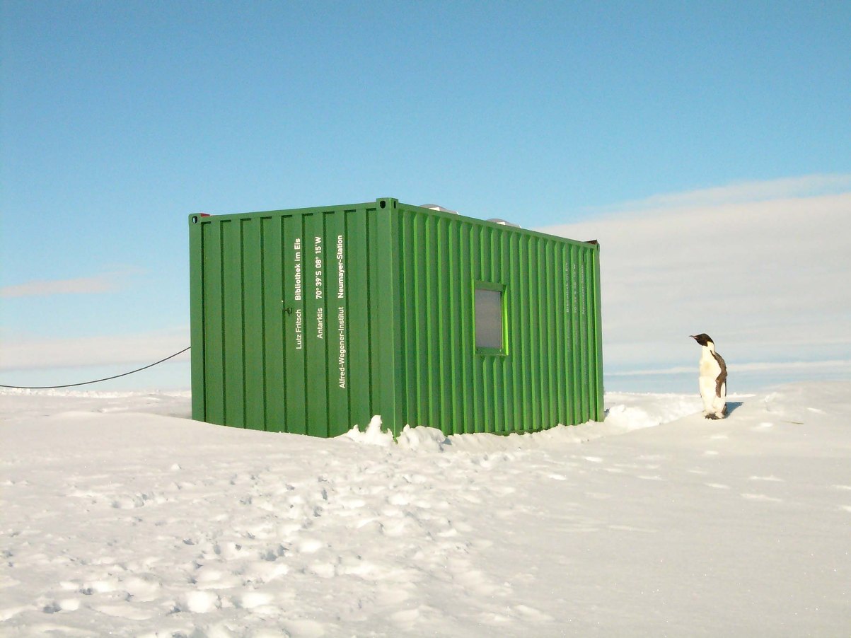 Bibliothek im Eis | Pinguin, Foto: Lutz Fritsch, 2007